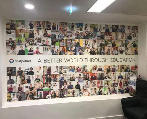 Study Group - Office Graphics
